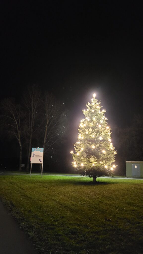 Christbaum Weihnachtsbaum 2024